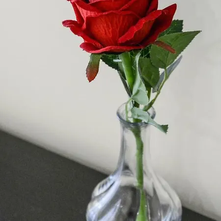 Casa Cupiello Bed and Breakfast